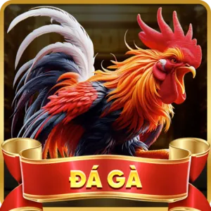 Đá gà QQ88